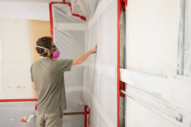 Mold Documentation for Insurance Claims in Monterey, CA